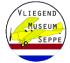 logo-VMS